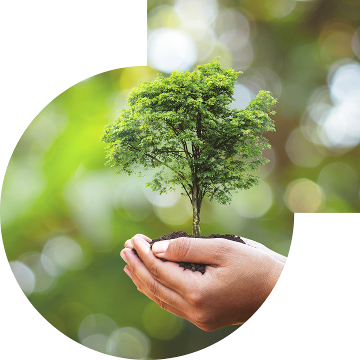 关怀人类、文化、环境与社会